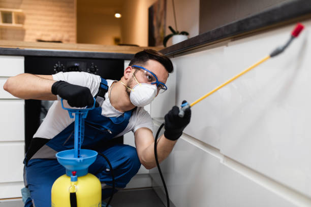 Best Local Pest Control Services  in South Tucson, AZ