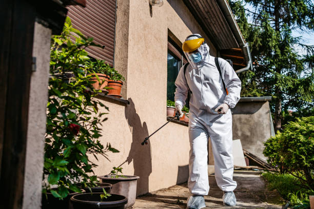 Best Pest Inspection Near Me  in South Tucson, AZ