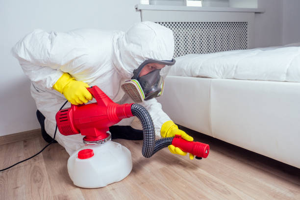 Pest Control for Restaurants in South Tucson, AZ