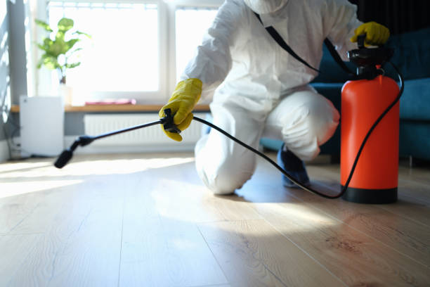 Pest Control Cost in South Tucson, AZ