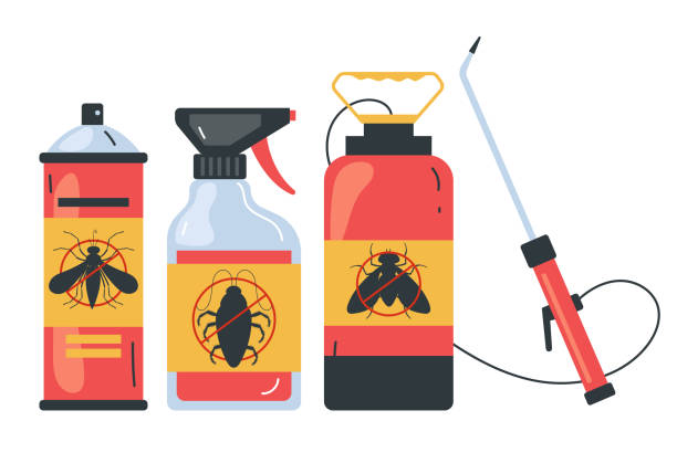 Best Affordable Pest Control Services  in South Tucson, AZ