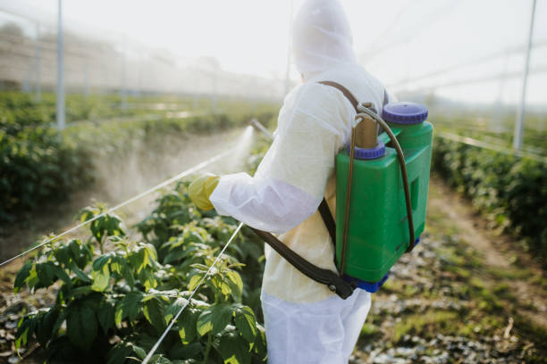 Best Commercial Pest Control Services  in South Tucson, AZ